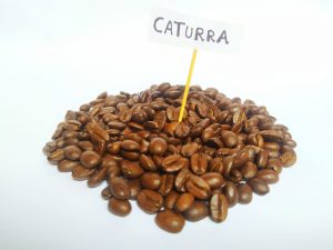 GRANO ENTERO CATURRA TOSTADO MEDIO