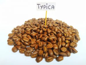 GRANO ENTERO TYPICA TOSTADO MEDIO