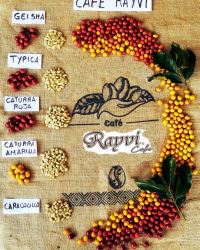 VARIEDADES DE CAFE