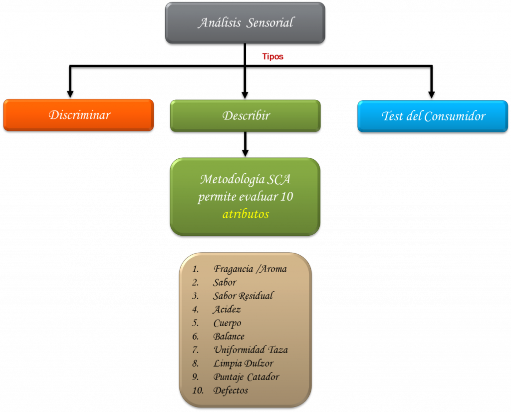 Análisis Sensorial del café
