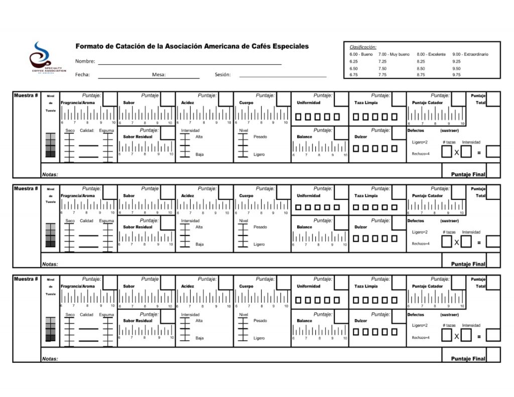 Formato de Catacion de SCA- Desarrollo del formulario SCA