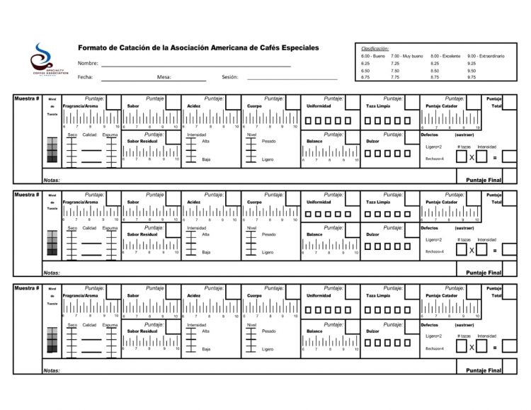 Formato de Catacion de SCA