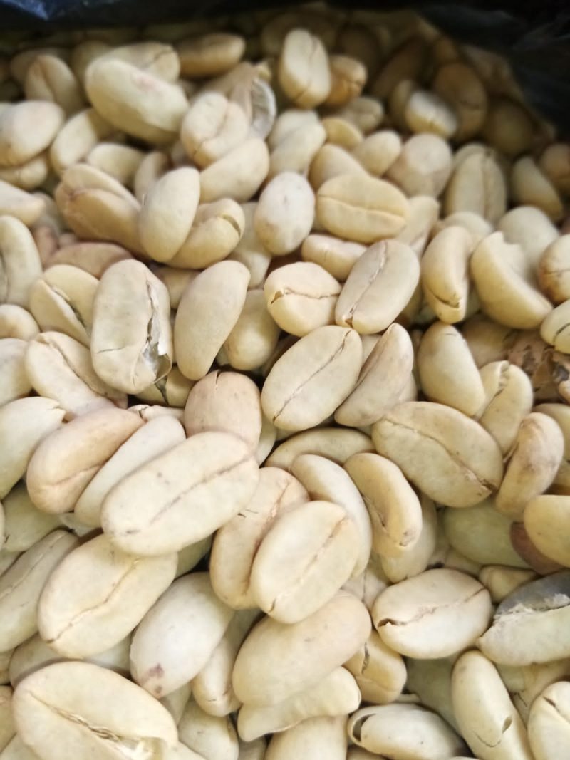 Peru Coffee Beans