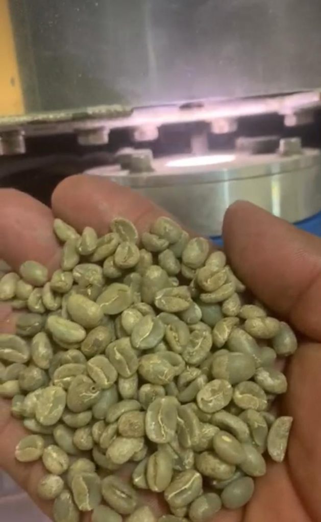 Green Coffee Peru