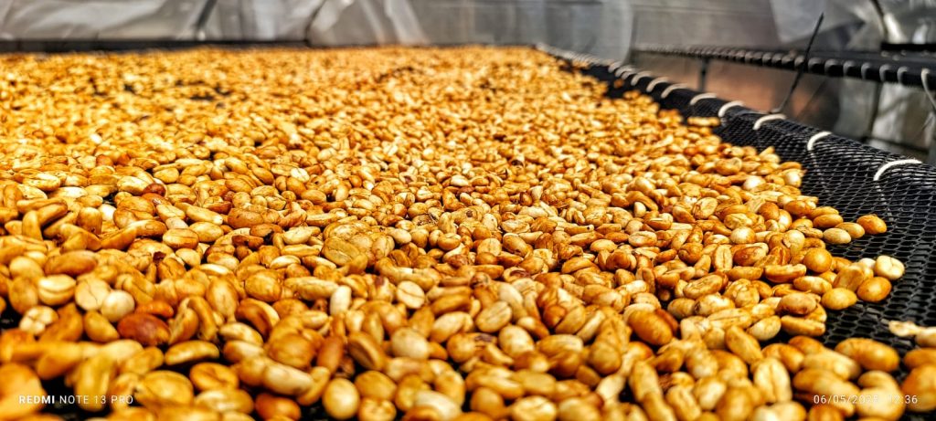 Peruvian Dry Honey coffee beans